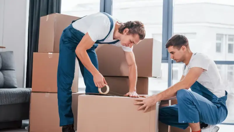 Safe and Insured Moving Services